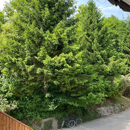 Gaestehaus Forggensee *